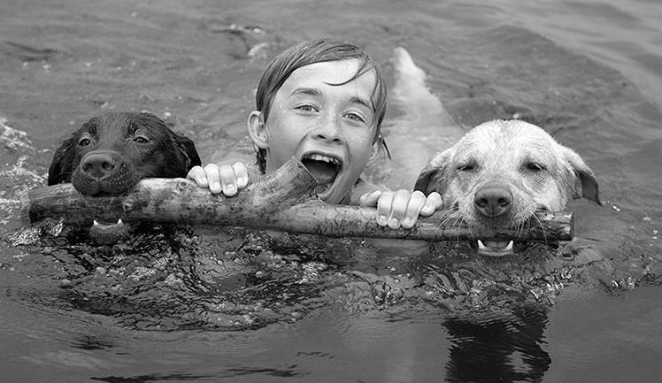 dogs and kid swimming b&w